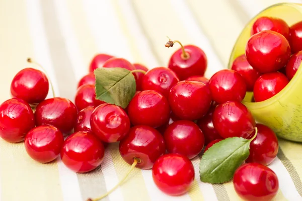 Organic Cherries in a Bowl — Stock Photo, Image