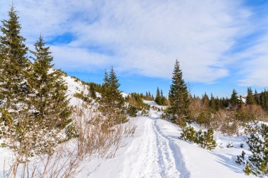 Kış manzara Tatra Dağları, Polonya