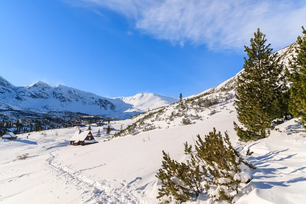 Tatra 산, 폴란드의 겨울 풍경 — 스톡 사진