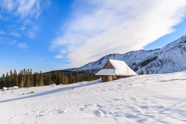 Cabaña de montaña de madera en el paisaje de invierno — Foto de Stock