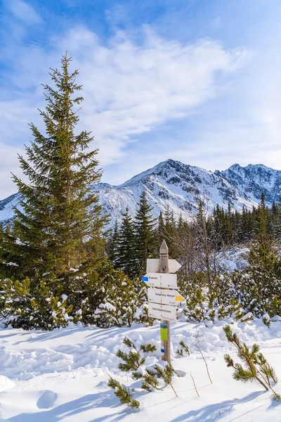 Paisaje invernal en las montañas de Tatra, Polonia — Foto de Stock