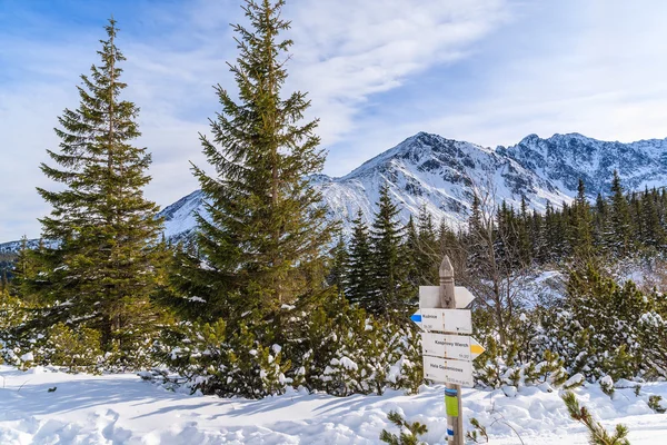 Paisaje invernal en las montañas de Tatra, Polonia — Foto de Stock