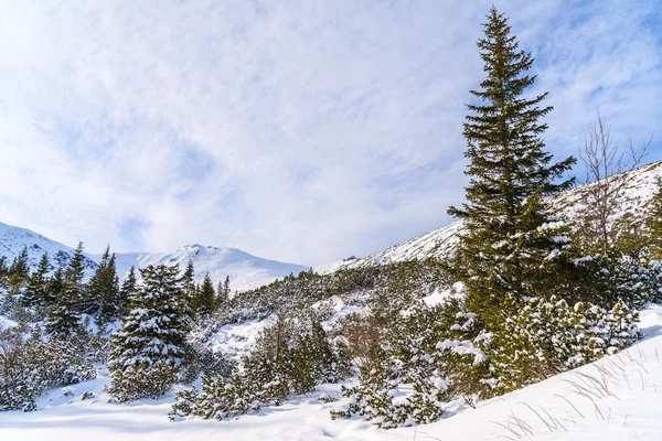 Paisaje invernal en las montañas de Tatra, Polonia — Foto de Stock