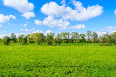 Arka planda ağaçlarla yeşil çayır ve güneşli bahar gününde Polonya 'nın Krakow şehrinin kırsal bölgesinde mavi gökyüzünde güzel bulutlar.