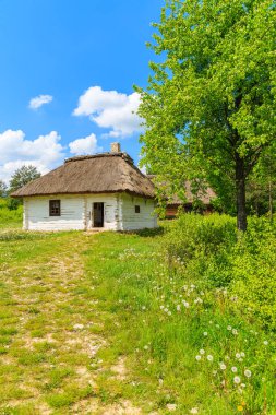 Güneşli bahar gününde Tokarnia köyünde saman çatılı eski geleneksel ev, Polonya