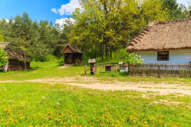 Güneşli bahar gününde Tokarnia köyünde saman çatılı eski geleneksel ev, Polonya