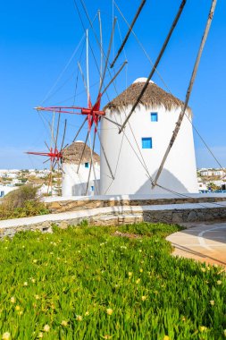 Mykonos adasındaki ünlü geleneksel yel değirmenleri, önlerinde çiçekler, Kiklad, Yunanistan