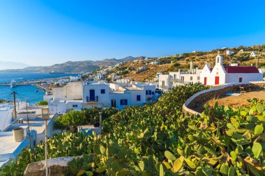 Yunanistan 'ın Mykonos Adası' ndaki Mykonos kasabasında kaktüs bitkileri ve tipik Yunan beyaz kilise binası