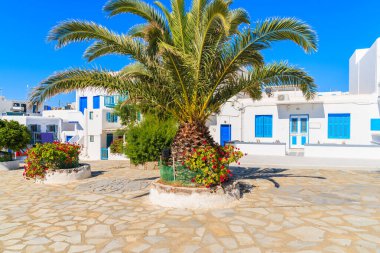 Yunanistan 'ın Mykonos adasında, Mykonos kasabasında mavi pencereli tipik beyaz evleri olan kare üzerindeki palmiye ağaçları