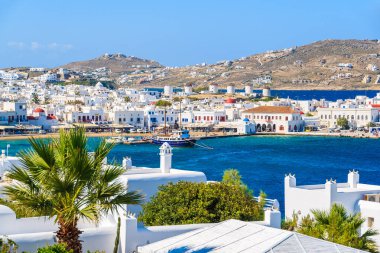 Önünde palmiye ağacı bulunan Mykonos limanı manzarası, Mykonos Adası, Yunanistan