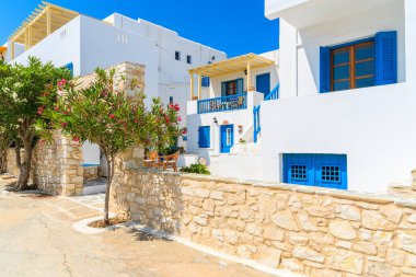 Yunanistan 'ın Paros adasındaki Naoussa kasabasında sokakta tipik Yunan tarzı daireler