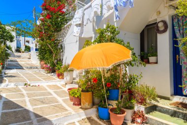Yunanistan 'ın Paros adasındaki Naoussa kasabasındaki tipik bir Yunan evinin önündeki güneş şemsiyesi ve saksıları