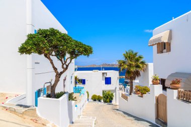 Naoussa kasabası, Paros adası, Kiklad, Yunanistan 'da evleri olan tipik cadde