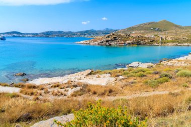 Yunanistan 'ın Paros adasındaki güzel Monastiri koyunda bahar çiçekleri