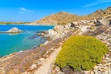 Güzel Monastiri koyundaki kıyı yolu turkuaz deniz suyu, Paros adası, Yunanistan
