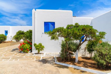 Yunanistan 'ın Paros adasındaki Santa Maria köyünde Yunan tarzı beyaz evleri olan tipik cadde