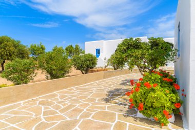 Yunanistan 'ın Paros adasındaki Santa Maria köyünde Yunan tarzı beyaz evleri olan tipik cadde