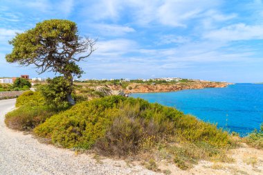 Yunanistan 'ın Paros adasındaki Ampelas köyünde deniz kıyısındaki sahil yolu