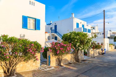 Yunanistan 'ın Paros adasındaki Naoussa köyünde tipik Yunan evlerinin olduğu sokak