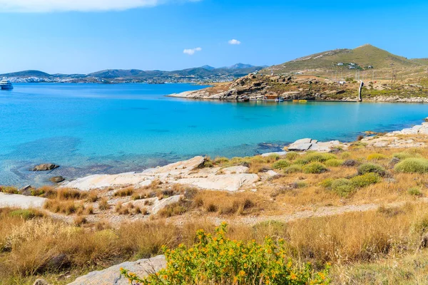 Yunanistan 'ın Paros adasındaki güzel Monastiri koyunda bahar çiçekleri