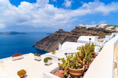 Firostefani köyündeki terasta kaktüs bitkileri, arka planda kayalıklarda tipik beyaz evler, Santorini Adası, Yunanistan