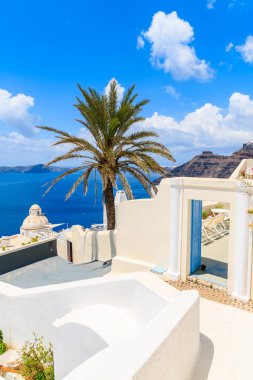 Yunanistan 'ın Santorini adasındaki Firostefani köyünde deniz manzaralı bir palmiye ağacı