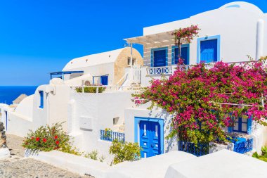 Santorini, Cyclades, Yunanistan 'daki Oia kasabasında çiçeklerle süslenmiş tipik evler