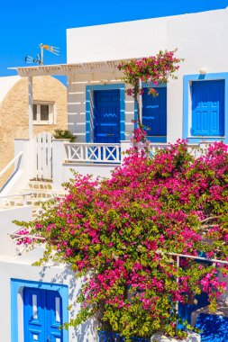 Yunanistan 'ın Santorini adasındaki Oia köyünde kırmızı çiçeklerle süslenmiş tipik beyaz ve mavi Yunan evi