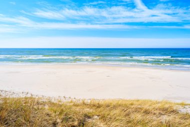 Debki sahilinde beyaz kum ve çimen kum tepeciği, Baltık Denizi, Polonya