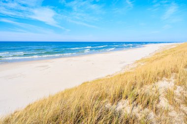 Debki sahilinde beyaz kum ve çimen kum tepeciği, Baltık Denizi, Polonya