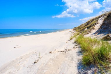 Lubiatowo sahilinde yeşil çimenler, Baltık Denizi, Polonya