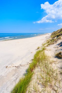 Lubiatowo sahilinde yeşil çimenler, Baltık Denizi, Polonya