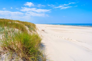 Debki sahilindeki yeşil çimen kum tepeciği, Baltık Denizi, Polonya