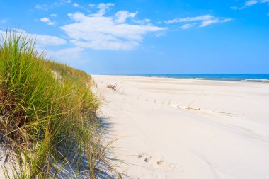Debki sahilindeki yeşil çimen kum tepeciği, Baltık Denizi, Polonya