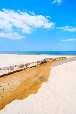 Plasnica Nehri, Polonya 'nın Debki sahilindeki Baltık Denizi' ne kadar uzanır.
