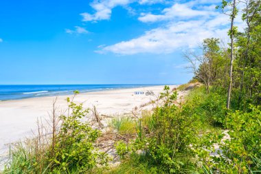 Lubiatowo 'daki yeşil kıyı bölgesi, Baltık Denizi, Polonya