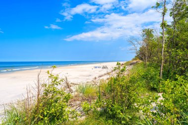 Beyaz kumsal manzarası ve Baltık Denizi 'ndeki kum tepeciklerindeki yeşil ağaçlar, Polonya' nın Bialogora kıyı köyü,