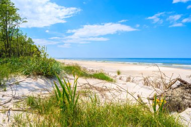Lubiatowo 'daki yeşil kıyı bölgesi, Baltık Denizi, Polonya