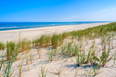 Güzel bir sahil manzarası ve Baltık Denizi 'ndeki kum tepecikleri, Lubiatowo kıyı köyü, Polonya