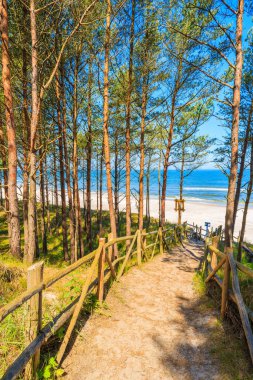 Lubiatowo sahil köyü, Baltık Denizi, Polonya 'da ormandaki güzel plaja giden yol.