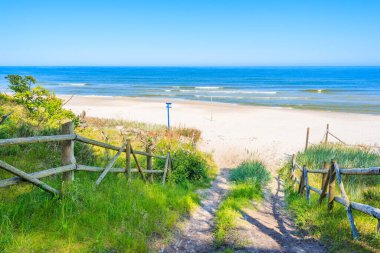 Polonya, Baltık Denizi kıyısındaki ormandan beyaz kumsala giden yol