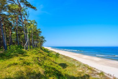 Lubiatowo sahil köyü, Baltık Denizi, Polonya 'da güzel kumlu bir sahil manzarası