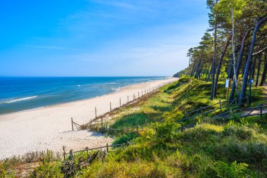 Lubiatowo sahil köyü, Baltık Denizi, Polonya 'daki ormandan güzel kumlu plaja giden yol