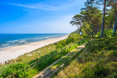 Lubiatowo sahil köyü, Baltık Denizi, Polonya 'daki ormandan güzel kumlu plaja giden yol