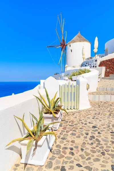 Yunanistan 'ın Santorini adasındaki Oia köyündeki ünlü yel değirmeni