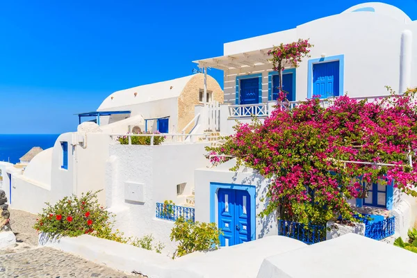 Santorini, Cyclades, Yunanistan 'daki Oia kasabasında çiçeklerle süslenmiş tipik evler