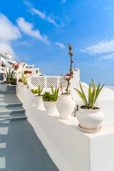 Çiçek saksıları ve basamakları tipik beyaz mimarisi olan güzel Firostefani köyüne, Santorini adasına, Yunanistan