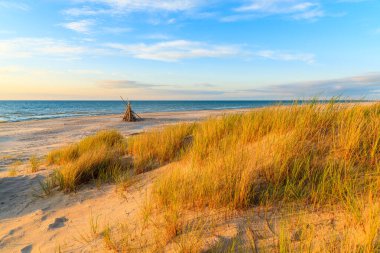 Gün batımında kum tepeciklerinde çimenler Leba sahillerinde altın renkler, Baltık Denizi, Polonya