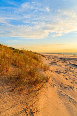 Leba plajı, Baltık Denizi, Polonya üzerinde kum tepeciği ve günbatımı