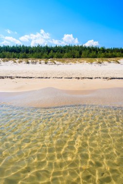 Kristal berrak su ile Bialogora sahili, Baltık Denizi, Polonya